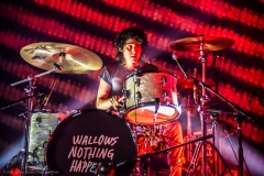 Wallows_2