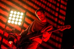 Wallows_22
