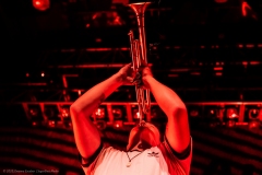 Wallows_28