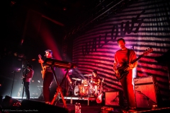 Wallows_4