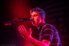 Wallows_6
