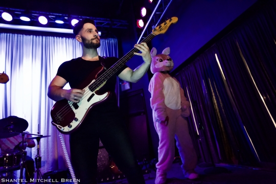 Raindeer at Metro Gallery - 3/9/19