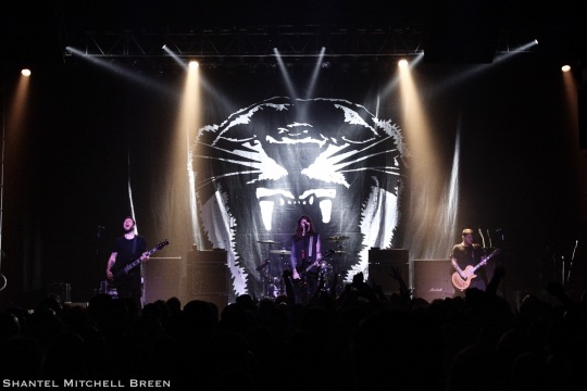 Against Me!