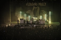 FloggingMolly33