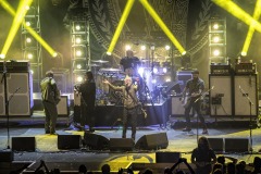 FloggingMolly36