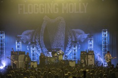 FloggingMolly37