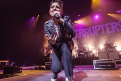 Interrupters26
