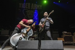 TigerArmy2
