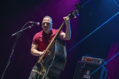 TigerArmy7