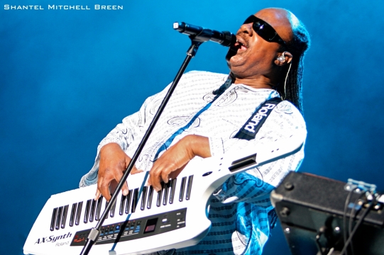 Stevie Wonder