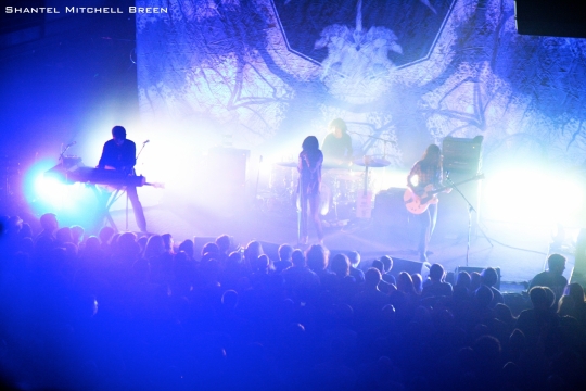 The Dead Weather
