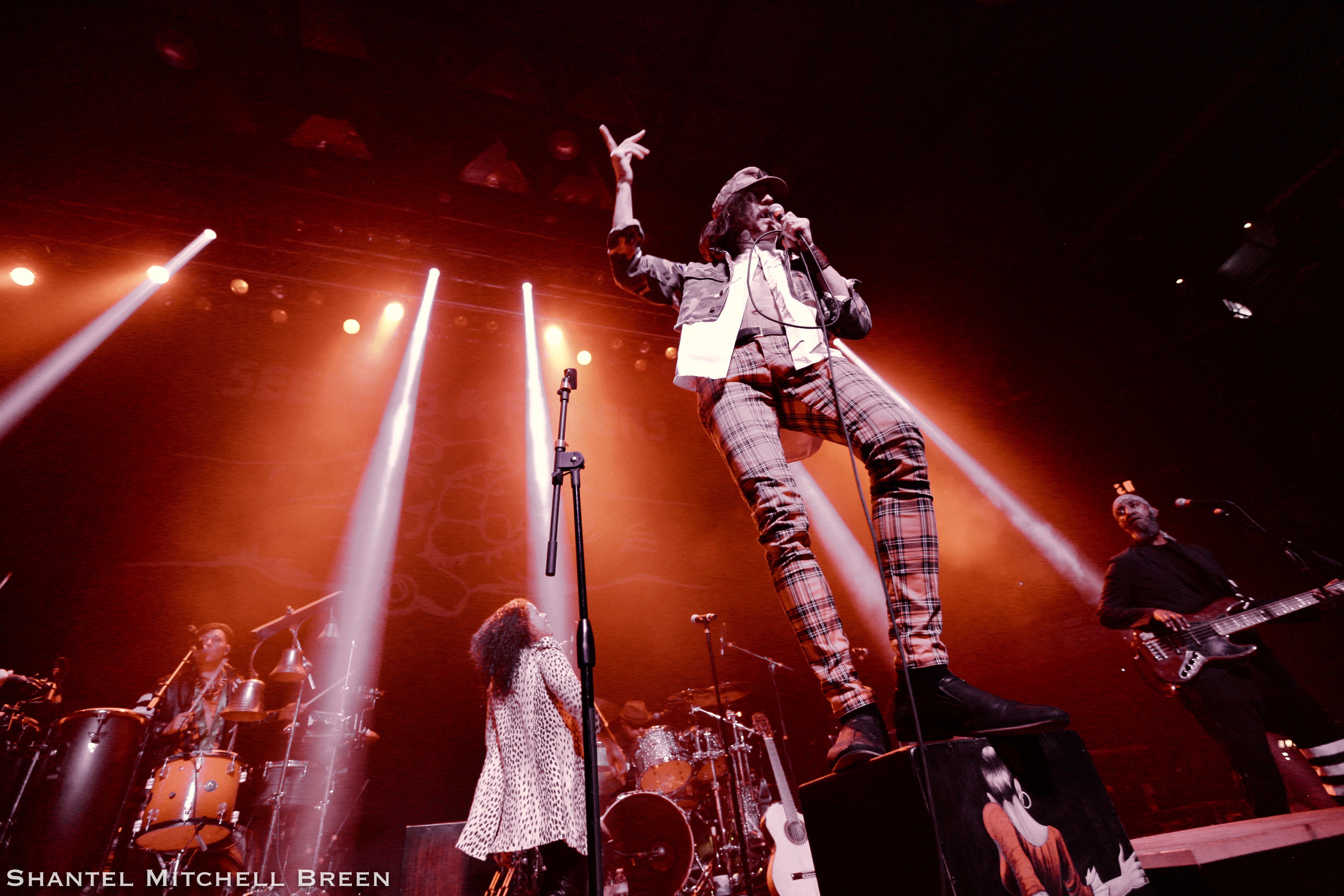 Gypsy Punk Masters, Gogol Bordello, Kept Rams Head Dancing All Night