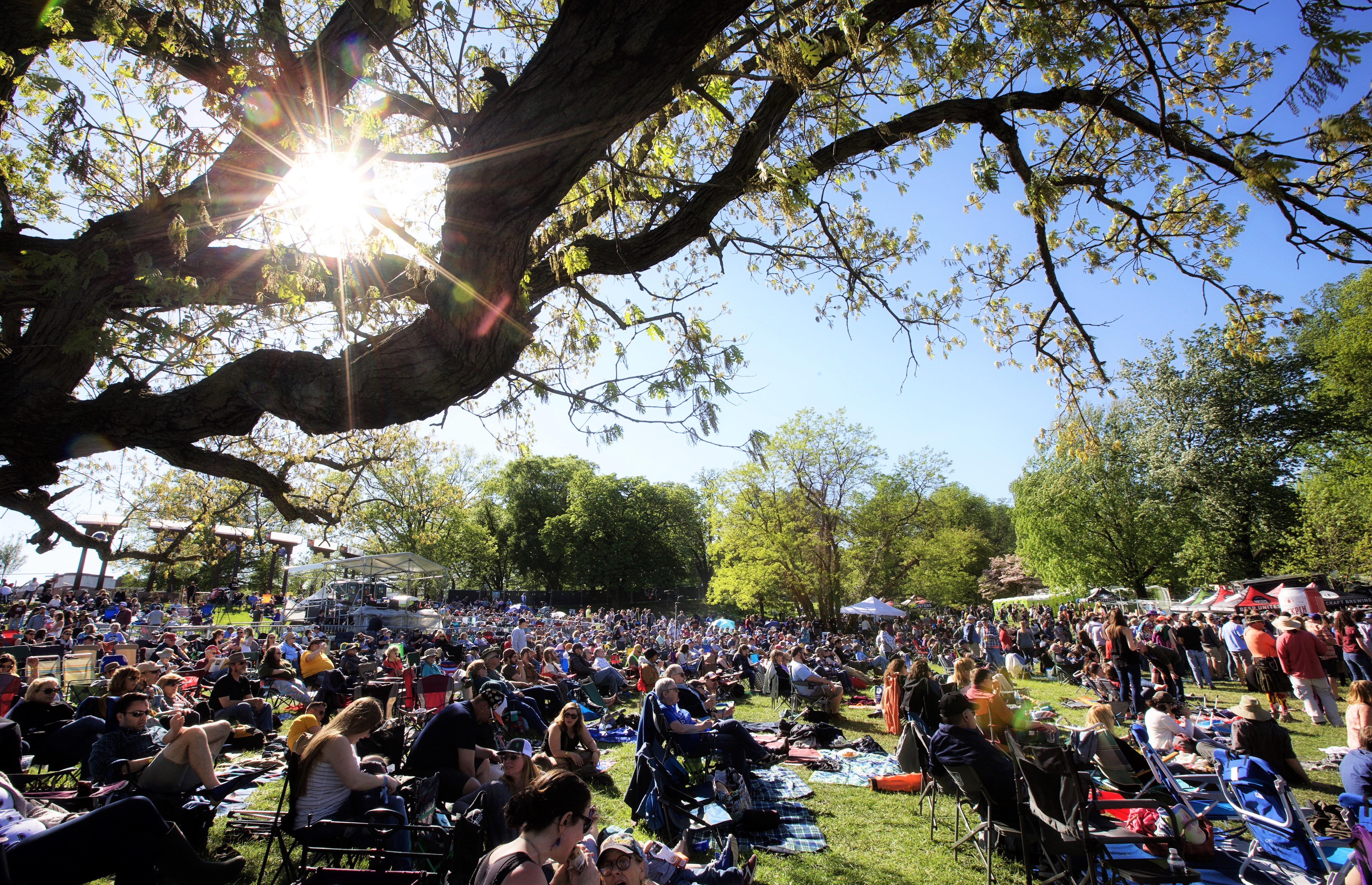 The Music of Charm City Bluegrass Festival filled Druid Hill Park