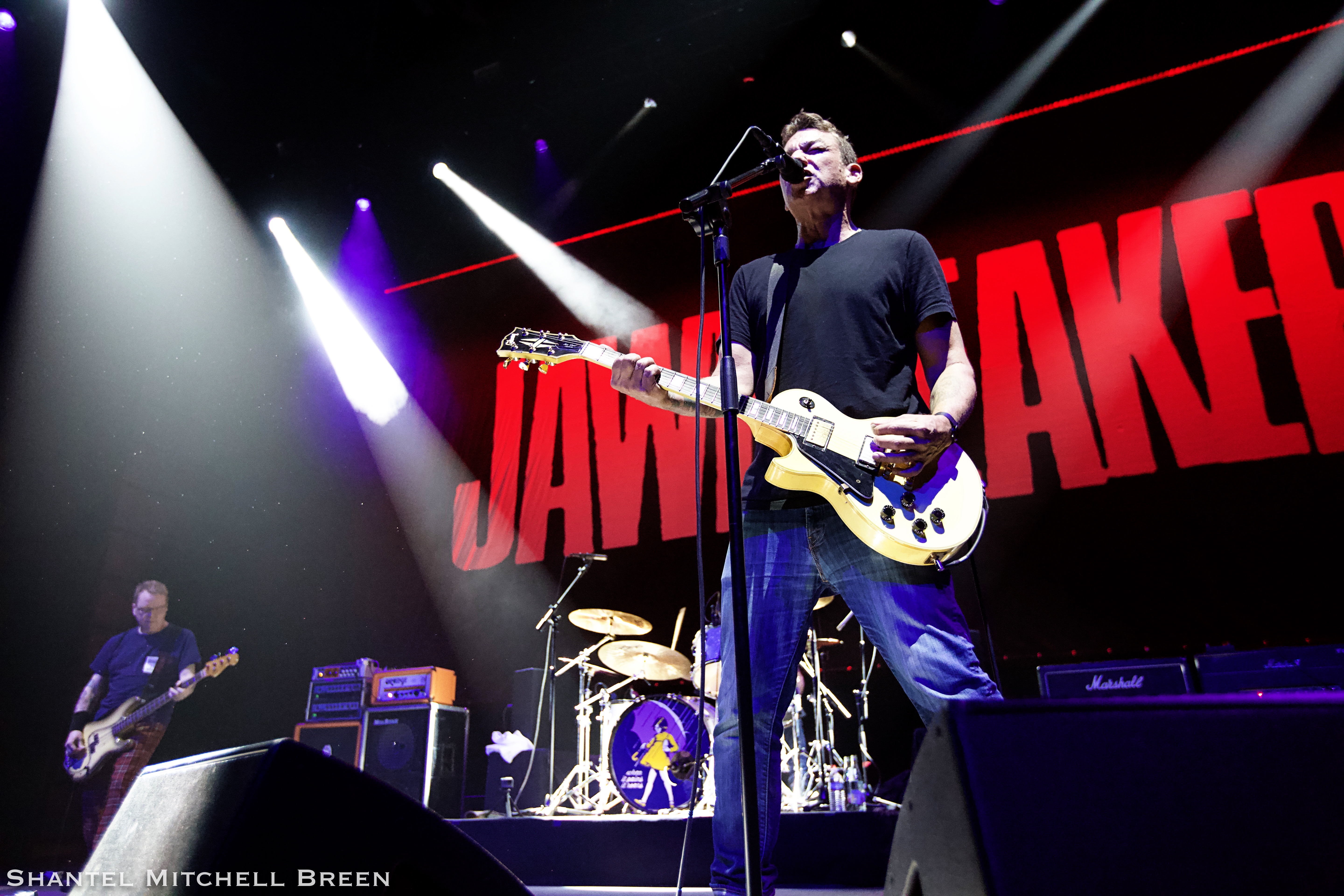 Jawbreaker Returns to D.C. and Pummels The Anthem