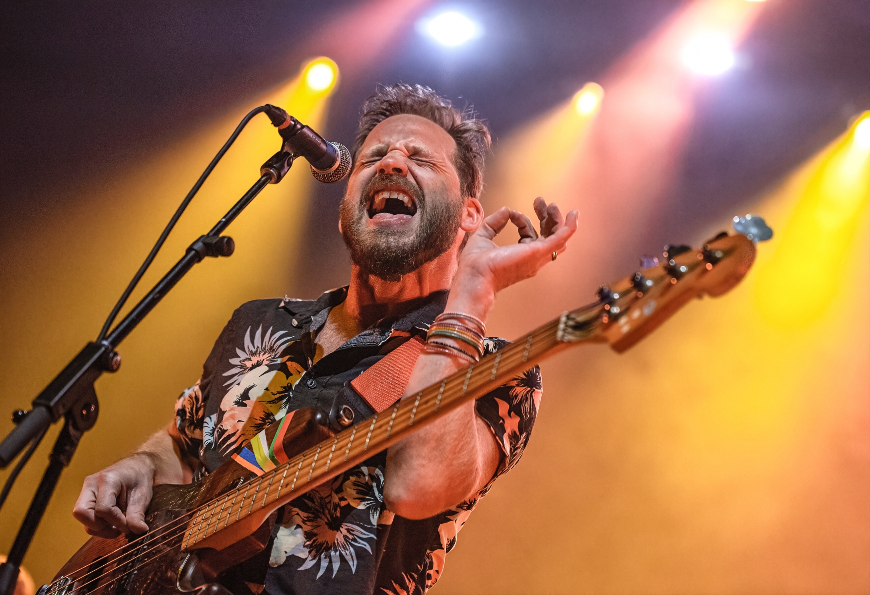 Dr Dog Shake It Up at The Anthem