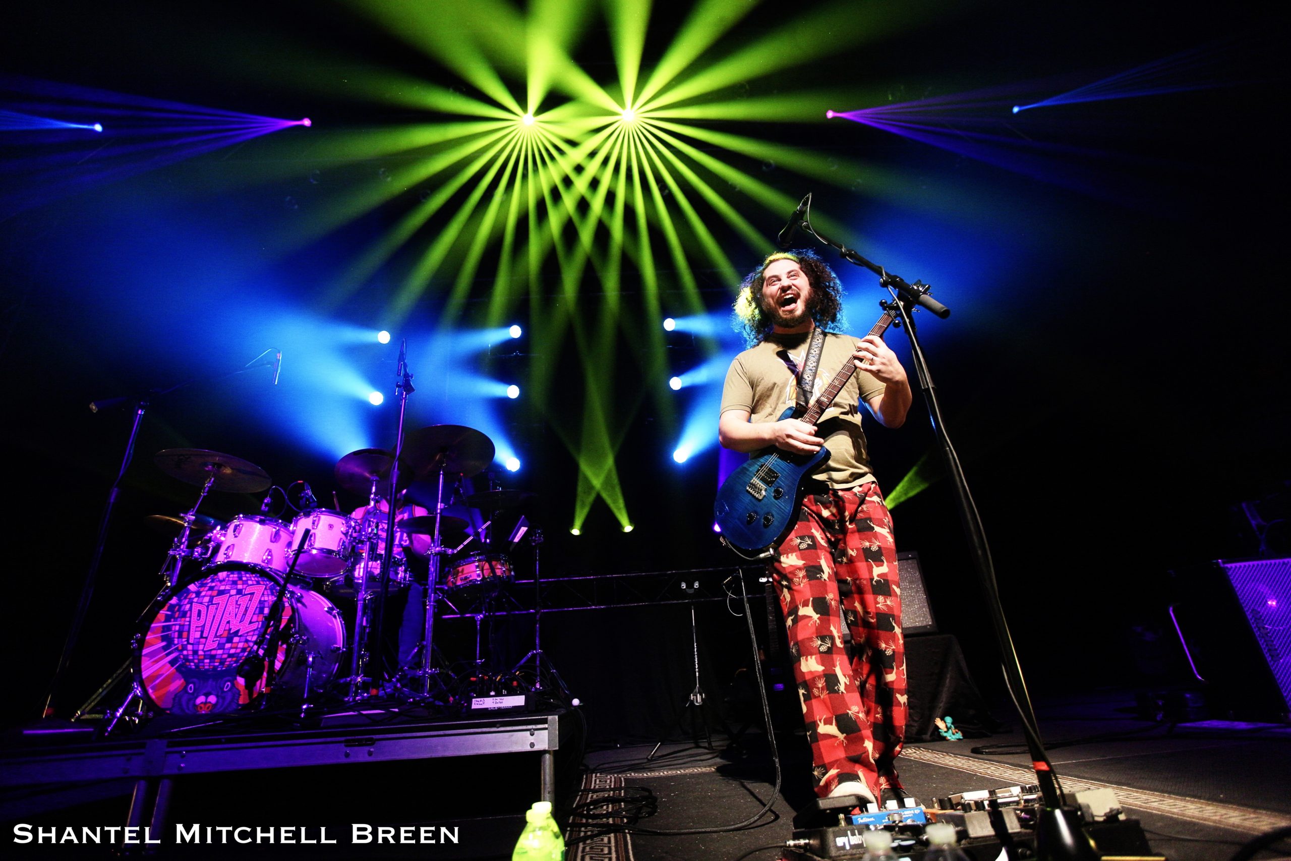 Get your Fix of Pigeons Playing Ping Pong this Weekend!