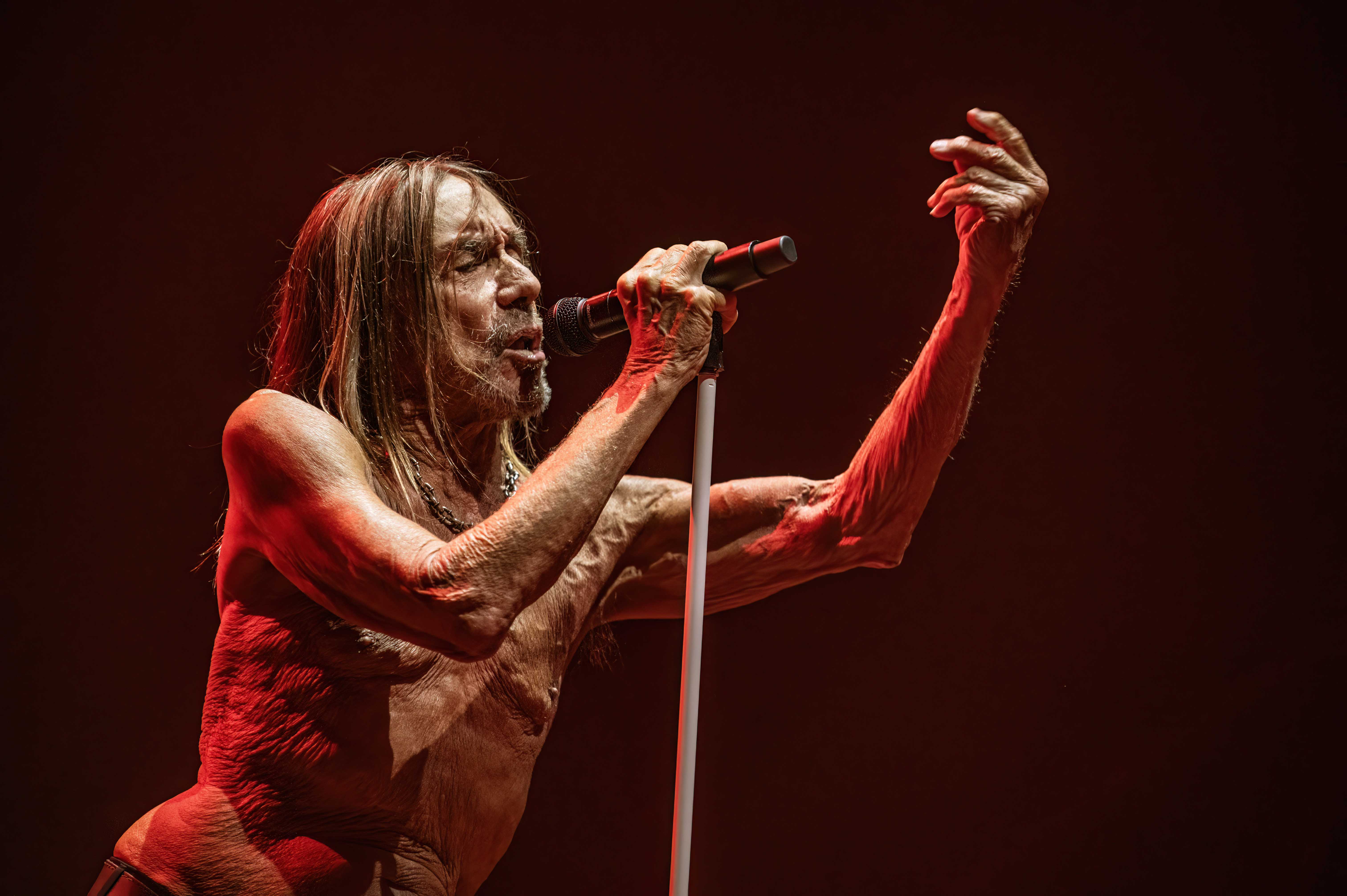 The Best of 2025: Interesting Times and Rock N Roll